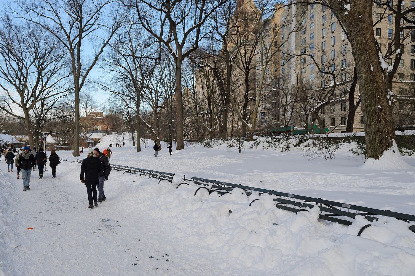 Central Park under snow in January 2016